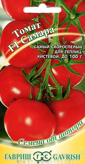 Т Самара Гавриш