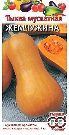 Тыква Жемчужина мускатная Гавриш