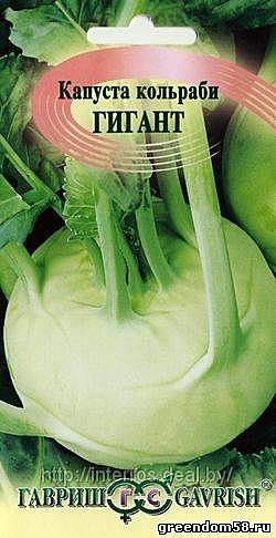 К Кольраби Гигант  Гавриш
