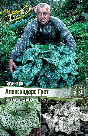 6856 Брунера Александерс грет 1шт