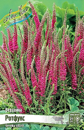 9809 Вероника Ротфукс 1шт
