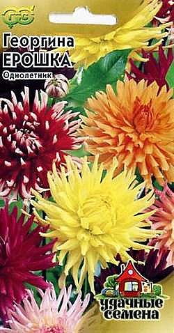 Ц Георгина Ерошка Уд.с.