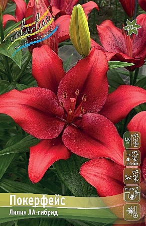 0137 Лилия Покерфейс ла 7шт/1шт