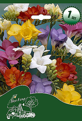 8603 Фрезия смесь 10шт/1шт