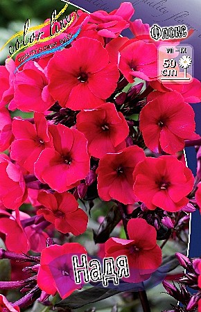 7903 Флокс Надя 2шт/1шт/