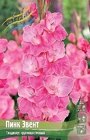9797 Глад Пинк Эвент 8шт/1шт