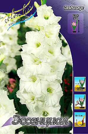 6271 Глад Эссенциал 8шт/1шт