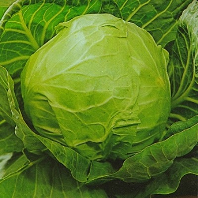 К Парел  Престиж