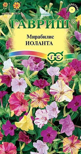 Ц Мирабилис Иоланта Гавриш