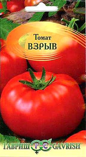 Т Взрыв  Гавриш 