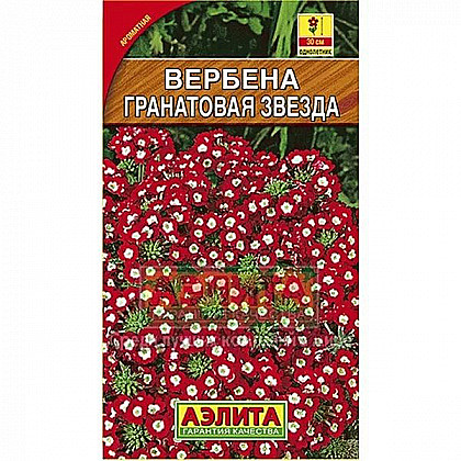 Вербена Гранатовая звезда  30шт  Аэлита