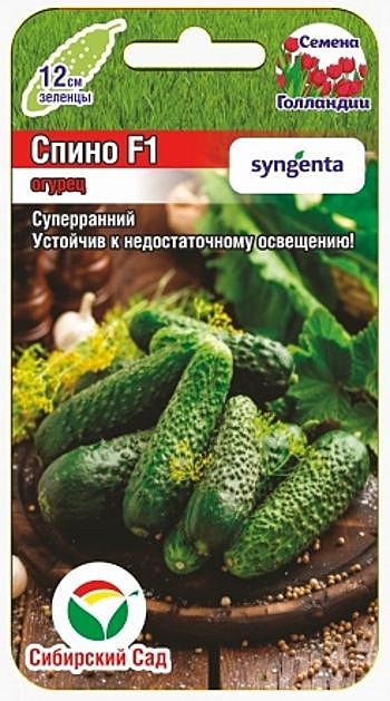 О Спино Сиб сад