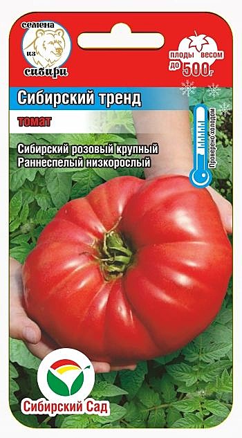 Т Сибирский тренд Сиб сад