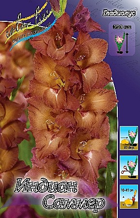 6332 Глад Индиан Саммер 10шт/1шт