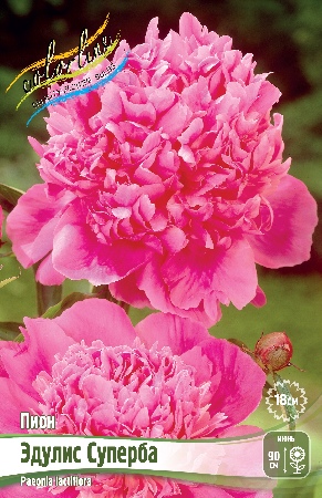 Изображение товара