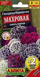 Ц Гвозд Махровая бородатая см. Аэлита