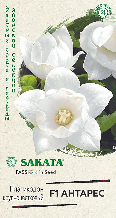 Ц Платикадон Антарес Гавриш