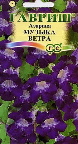 Ц Азарина Музыка ветра Гавриш