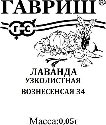 Ф Лаванда узколистная Вознесенская п/п Гавриш 