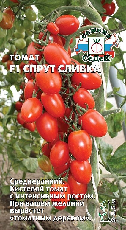 Т Спрут сливка Седек