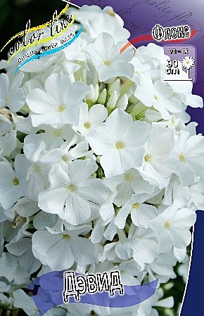 3560 Флокс Дэвид  2шт/1шт