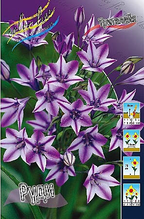 4042 Трителейя Руди 7шт/1шт