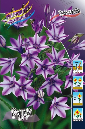 Изображение товара