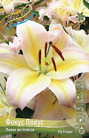 9742 Лилия Фокус покус вост 5шт/1шт