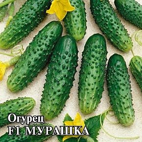 Огурец Мурашка 100шт Гавриш