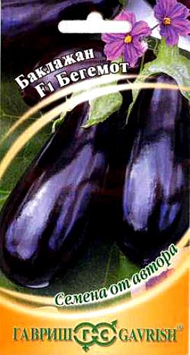 Б Бегемот Гавриш 