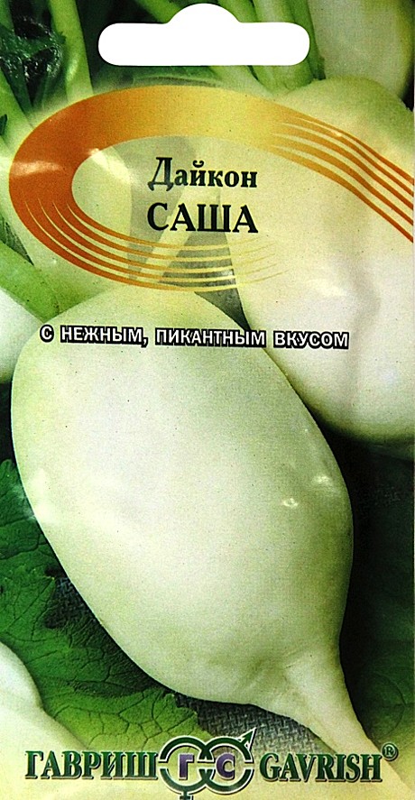 Дайкон Саша  Гавриш