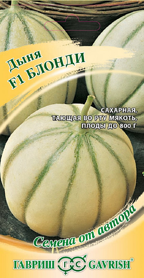 Дыня Блонди Гавриш 
