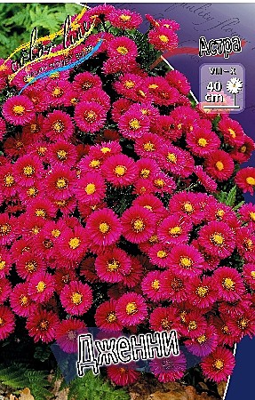 2221 Астра Дженни 2шт/1шт