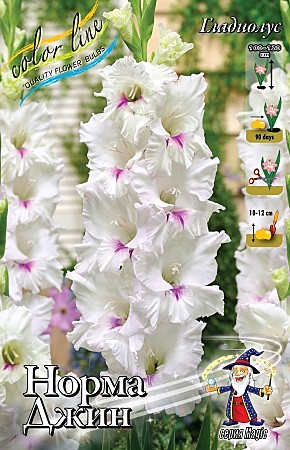 6183 Глад Норма Джин 8шт/ 1шт