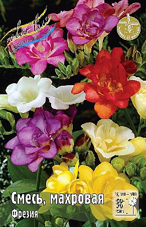 8610 Фрезия смесь махровая  10шт (1шт)