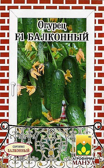 О Балконный Манул