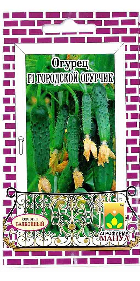 О Городской огурчик Манул