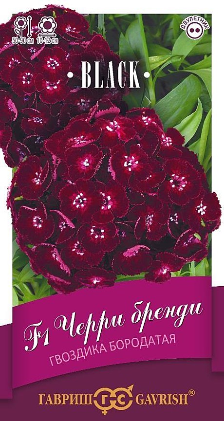 Ц Гвозд Черри бренди бородатая Гавриш