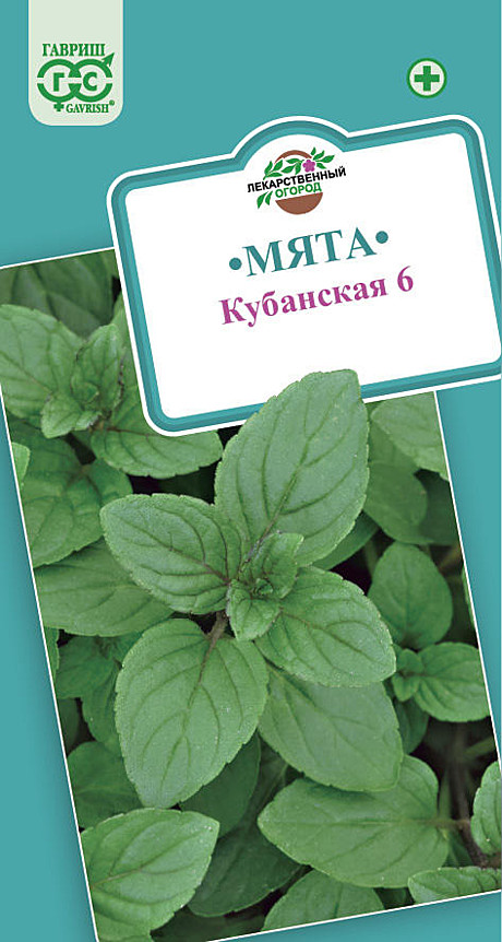 Ф Мята Кубанская Гавриш