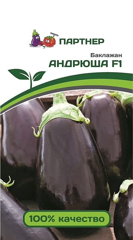 Б Андрюша Партнер