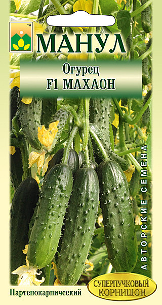 О Махаон  Манул