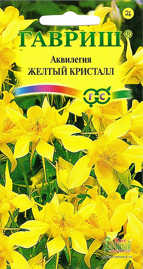 Ц Аквилегия Желтый кристалл Гавриш