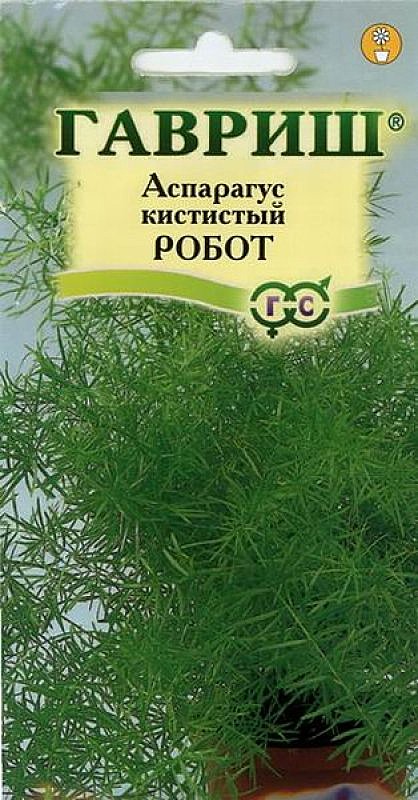Ц Аспарагус густоцветковый Робот Гавриш