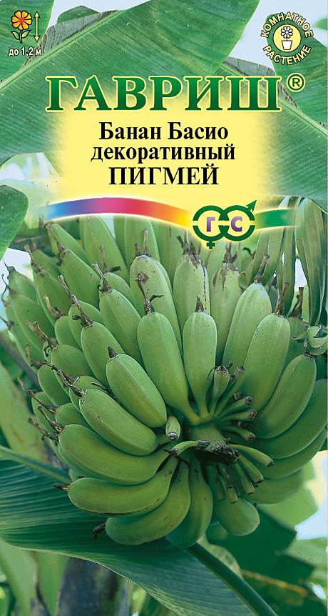 Ц Банан декор. Пигмей  Гавриш