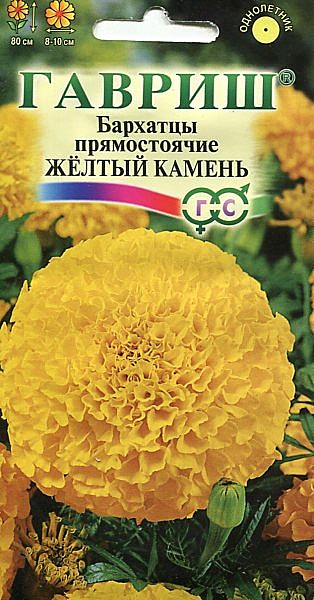 Ц Барх Желтый камень Гавриш