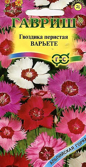 Ц Гвозд Варьете перистая смесь Гавриш