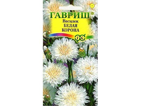 Ц Василек Белая корона Гавриш