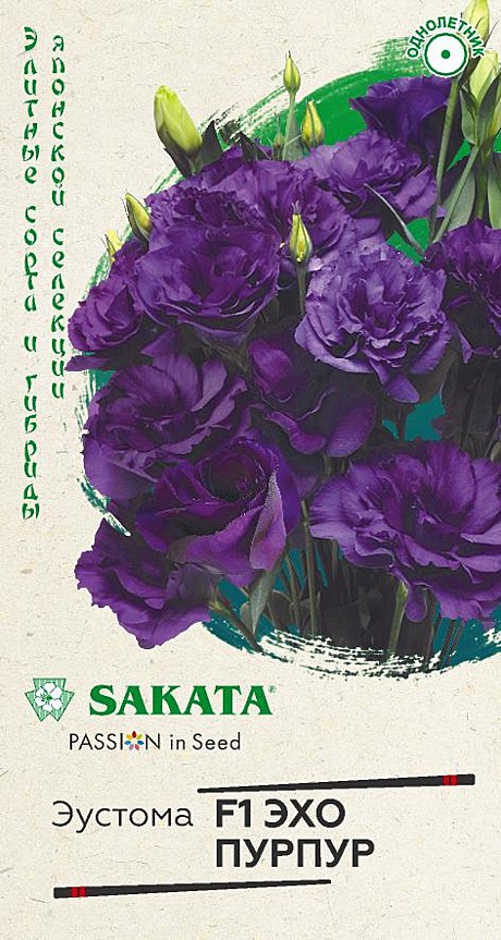 Ц Эустома Эхо пурпур Гавриш