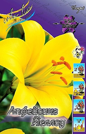 0255 Лилия  Йеллоу  Планет труб 5шт(1шт)