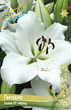 Изображение товара